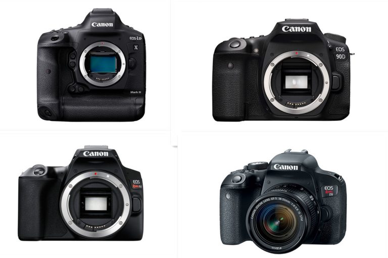 What Are The Top 6 Cameras You Prefer?
